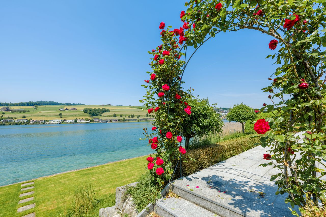 Rosenpracht im eigenen Garten